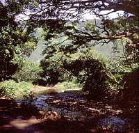 Dateiname=HAWAII006_r.jpg
Dateigröße=1589KB
Abmessungen: 1226x1175
hinzugefügt am: 02. Juni 2021 HAWAII006_r.jpg
