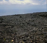 Dateiname=HAWAII014_r.jpg
Dateigröße=952KB
Abmessungen: 1247x1158
hinzugefügt am: 02. Juni 2021 HAWAII014_r.jpg