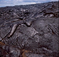 Dateiname=HAWAII016_r.jpg
Dateigröße=1020KB
Abmessungen: 1237x1195
hinzugefügt am: 02. Juni 2021 HAWAII016_r.jpg