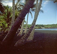 Dateiname=HAWAII027_r.jpg
Dateigröße=1532KB
Abmessungen: 1252x1199
hinzugefügt am: 02. Juni 2021 HAWAII027_r.jpg