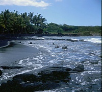 Dateiname=HAWAII028_r.jpg
Dateigröße=1087KB
Abmessungen: 1257x1136
hinzugefügt am: 02. Juni 2021 HAWAII028_r.jpg