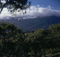 Dateiname=HAWAII038_l.jpg
Dateigröße=592KB
Abmessungen: 755x720
hinzugefügt am: 02. Juni 2021 HAWAII038_l.jpg