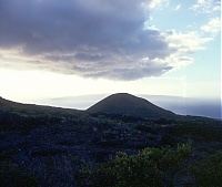 Dateiname=HAWAII039_r.jpg
Dateigröße=438KB
Abmessungen: 755x641
hinzugefügt am: 02. Juni 2021 HAWAII039_r.jpg