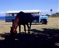 Dateiname=HAWAII059_r.jpg
Dateigröße=242KB
Abmessungen: 746x619
hinzugefügt am: 02. Juni 2021 HAWAII059_r.jpg