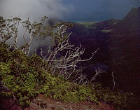 Dateiname=HAWAII074_r.jpg
Dateigröße=498KB
Abmessungen: 759x598
hinzugefügt am: 02. Juni 2021 HAWAII074_r.jpg