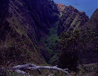 HAWAII079_r.jpg