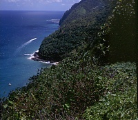 Dateiname=HAWAII085_r.jpg
Dateigröße=453KB
Abmessungen: 755x660
hinzugefügt am: 02. Juni 2021 HAWAII085_r.jpg