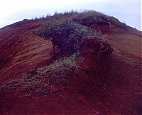 Dateiname=HAWAII086_r.jpg
Dateigröße=416KB
Abmessungen: 732x593
hinzugefügt am: 02. Juni 2021 HAWAII086_r.jpg