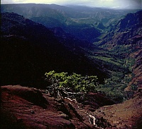 HAWAII087_l.jpg