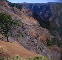 Dateiname=HAWAII089_r.jpg
Dateigröße=406KB
Abmessungen: 707x683
hinzugefügt am: 02. Juni 2021 HAWAII089_r.jpg