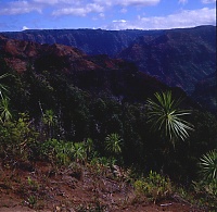 Dateiname=HAWAII092_r.jpg
Dateigröße=442KB
Abmessungen: 747x732
hinzugefügt am: 02. Juni 2021 HAWAII092_r.jpg