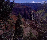Dateiname=HAWAII094_r.jpg
Dateigröße=496KB
Abmessungen: 750x634
hinzugefügt am: 02. Juni 2021 HAWAII094_r.jpg