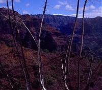 Dateiname=HAWAII095_r.jpg
Dateigröße=525KB
Abmessungen: 739x654
hinzugefügt am: 02. Juni 2021 HAWAII095_r.jpg