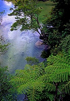 Dateiname=Fern2.jpg
Dateigröße=675KB
Abmessungen: 830x1200
hinzugefügt am: 26. Januar 2020 Fern2.jpg