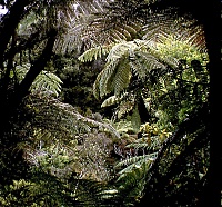 Dateiname=n73.jpg
Dateigröße=209KB
Abmessungen: 1110x1035
hinzugefügt am: 26. Januar 2020 n73.jpg