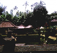 bali12_l.jpg