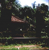 Dateiname=bali13_r.jpg
Dateigröße=953KB
Abmessungen: 1270x1282
hinzugefügt am: 02. Juni 2021 bali13_r.jpg