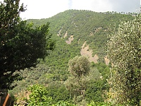 Montalto_33.JPG