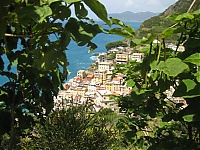 Riomaggiore_27.JPG