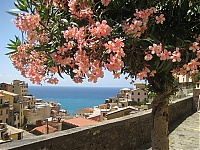 Riomaggiore_33.JPG