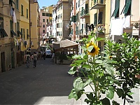 Riomaggiore_38.JPG