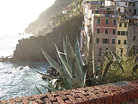 Riomaggiore_54.JPG