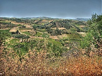Dateiname=Farmland_02.jpg
Dateigröße=505KB
Abmessungen: 1024x767
hinzugefügt am: 08. Juni 2018 Farmland_02.jpg