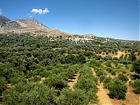 Dateiname=Olives2.jpg
Dateigröße=396KB
Abmessungen: 1024x768
hinzugefügt am: 08. Juni 2018 Olives2.jpg