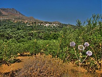 Dateiname=Olives3.jpg
Dateigröße=479KB
Abmessungen: 1024x771
hinzugefügt am: 08. Juni 2018 Olives3.jpg