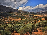 On_the_road_to_Agia_Galini_2.jpg