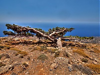 Dateiname=landscape7.jpg
Dateigröße=371KB
Abmessungen: 1024x772
hinzugefügt am: 08. Juni 2018 landscape7.jpg