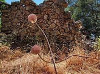 old_village_agiosioannis11.jpg