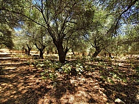 Dateiname=old_village_agiosioannis12.jpg
Dateigröße=622KB
Abmessungen: 1024x770
hinzugefügt am: 08. Juni 2018 old_village_agiosioannis12.jpg