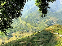 Sapa_11.jpg