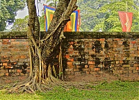 Temple_of_Literature2C_Hanoi07.jpg