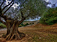 Dateiname=Pont_du_Gard_05.jpg
Dateigröße=546KB
Abmessungen: 1024x767
hinzugefügt am: 08. Juni 2018 Pont_du_Gard_05.jpg