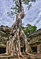 Dateiname=Ta_Phrom_10.jpg
Dateigröße=566KB
Abmessungen: 723x1024
hinzugefügt am: 08. Juni 2018 Ta_Phrom_10.jpg