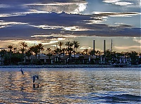 Port_de_Alcudia14_Small.jpg