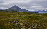 Iceland_East_01_ji.jpg