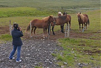 Iceland_Golden_Circle_34_ji.jpg