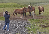 Iceland_Golden_Circle_35_ji.jpg