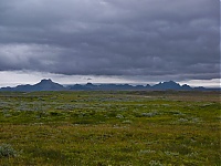 Iceland_Golden_Circle__53_ji.jpg