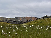 Iceland_Landmannalaugar_078_ji.jpg