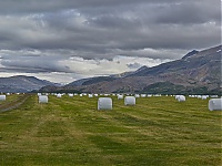 Dateiname=Iceland_Southcoast_15_ji.jpg
Dateigröße=581KB
Abmessungen: 1600x1202
hinzugefügt am: 29. November 2019 Iceland_Southcoast_15_ji.jpg