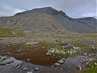 Iceland_Southcoast_31_ji.jpg