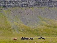 Iceland_Westcoast_019_ji.jpg