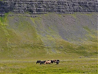 Iceland_Westcoast_024_ji.jpg