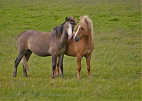 Dateiname=Iceland_Westcoast_032_ji.jpg
Dateigröße=635KB
Abmessungen: 1600x1140
hinzugefügt am: 29. November 2019 Iceland_Westcoast_032_ji.jpg