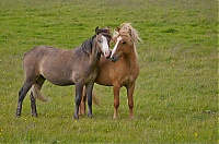 Dateiname=Iceland_Westcoast_033_ji.jpg
Dateigröße=665KB
Abmessungen: 1600x1060
hinzugefügt am: 29. November 2019 Iceland_Westcoast_033_ji.jpg