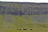 Dateiname=Iceland_Westcoast_039_ji.jpg
Dateigröße=678KB
Abmessungen: 1600x1077
hinzugefügt am: 29. November 2019 Iceland_Westcoast_039_ji.jpg